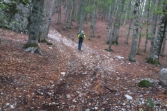 Alessio salendo nel bosco
