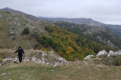 Colori autunnali