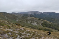 Stefano dopo la fonte