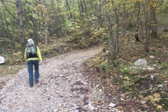 Salendo dal Bosco di Pagliara