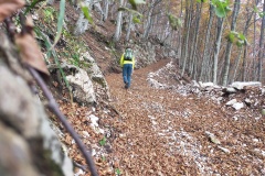 Alessio nel bosco