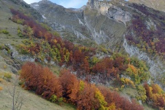 L'aspetto autunnale