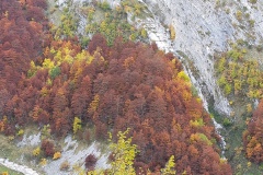 Colori d'autunno!