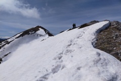 Verso cima Ogniquota